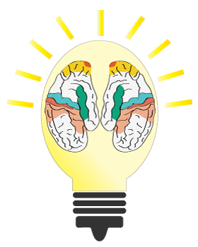 brain inside bulb