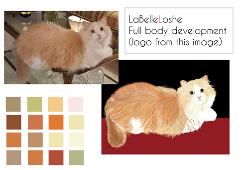 cat sitting on top of a coffee table