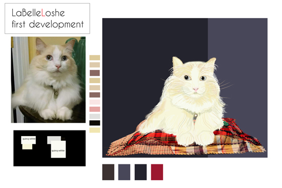 cat laying on a pillow