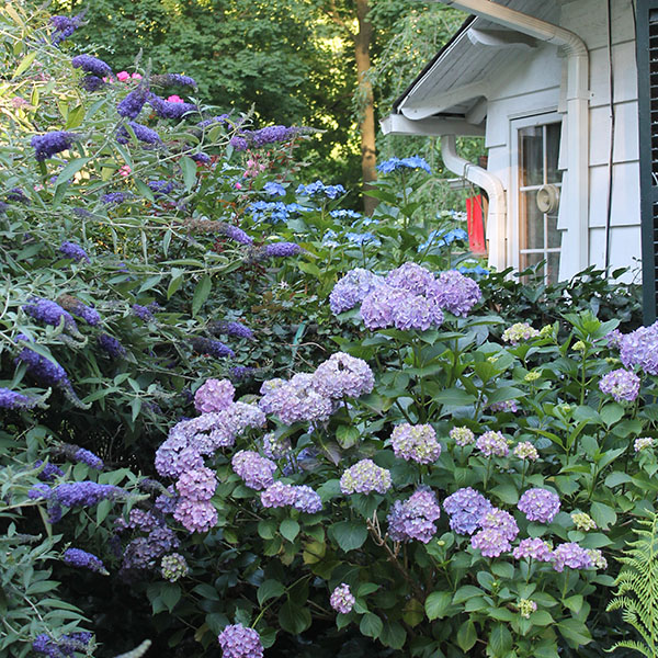 part of a white cottage surrounded by flowers