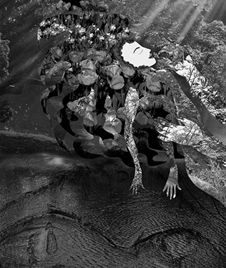 poster about the environment