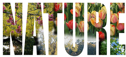 letters with flowers