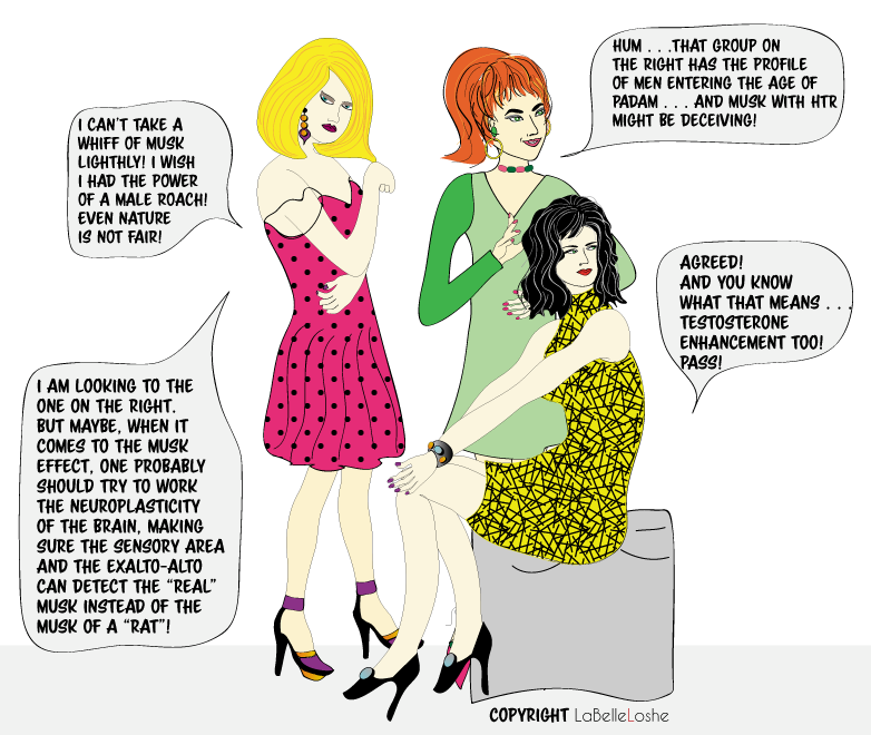 a group of women analyzing males