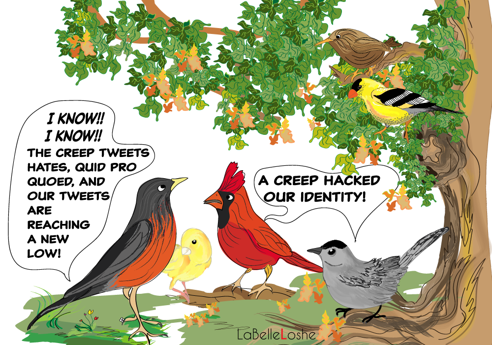 birds on a conference call